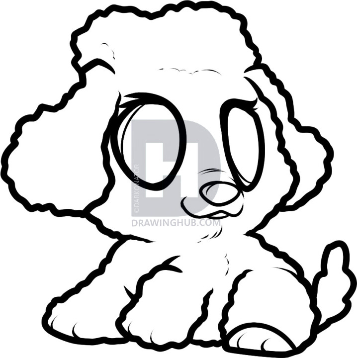 Poodle Drawing | Free download on ClipArtMag