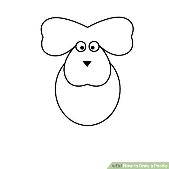 560x560 How To Draw A Poodle