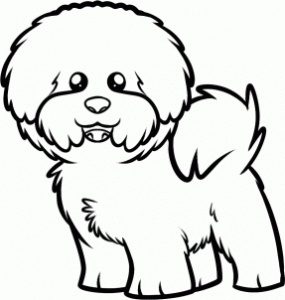 285x300 How To Draw A Cute Poodle