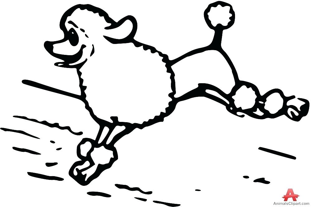 999x664 Poodle Clipart Poodle Outline