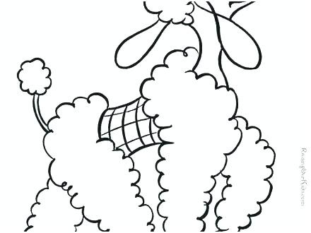 440x330 Poodle Coloring