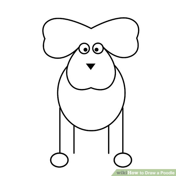 560x560 How To Draw A Poodle