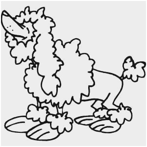 300x300 poodle coloring pages new poodle personalized dog line drawing