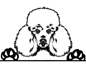 340x270 Poodle Clip Art Etsy