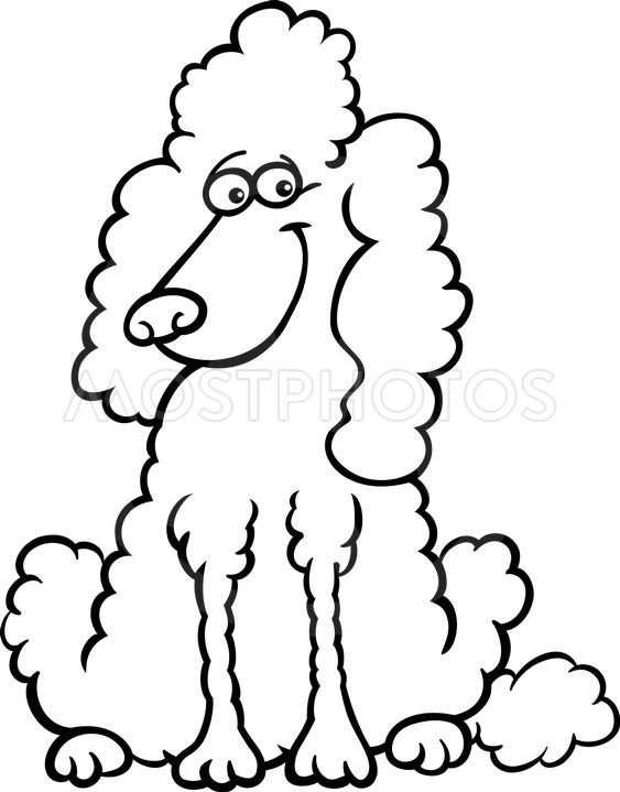 563x719 Poodle Dog Cartoon For Colo