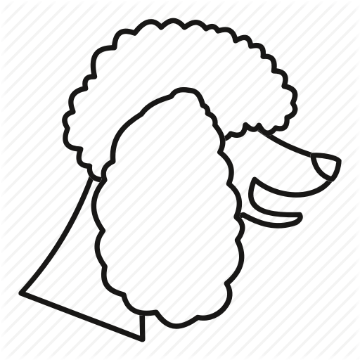 512x512 Animal, Dog, Line, Outline, Pet, Poodle, Puppy Icon