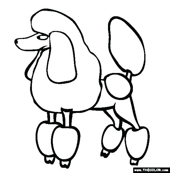 554x564 Beautiful Poodle Coloring Pages French Betterfor