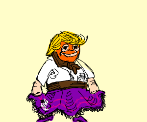 300x250 Trump Wearing Poodle Skirt