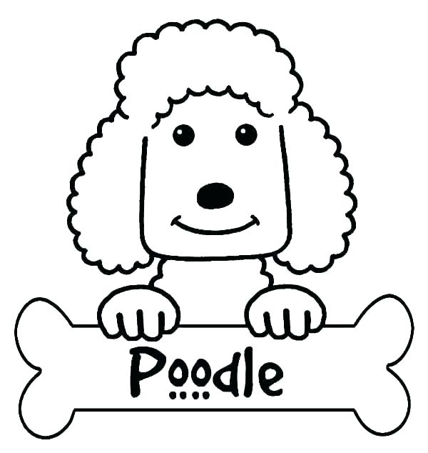 600x634 Poodle Outline