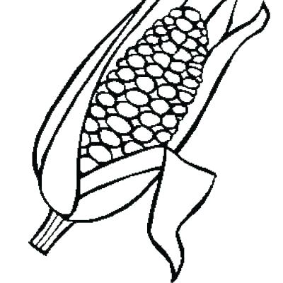 400x400 Corn Coloring