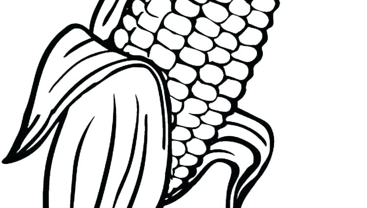 750x425 Corn Coloring Pages
