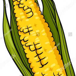 250x250 Corn Can Drawing Image Popcorn Box Pictures Easy Step