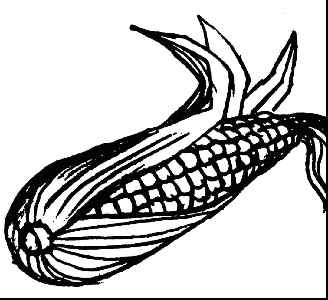 1084x991 Blue Corn Drawing Of Field A Stalk Easy Step