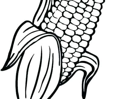 Popcorn Kernel Drawing | Free download on ClipArtMag