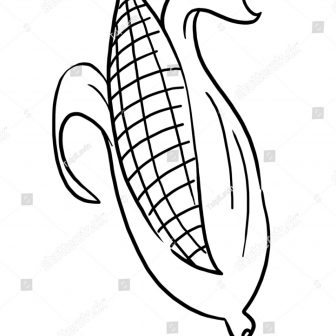 336x336 Corn Can Drawing Image Popcorn Box Pictures Easy Step