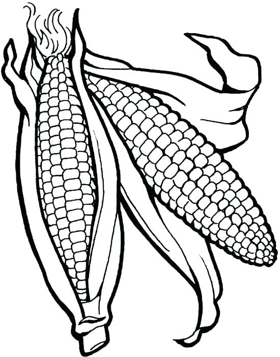550x700 Popcorn Machine Coloring Pages Corn Stalk Coloring