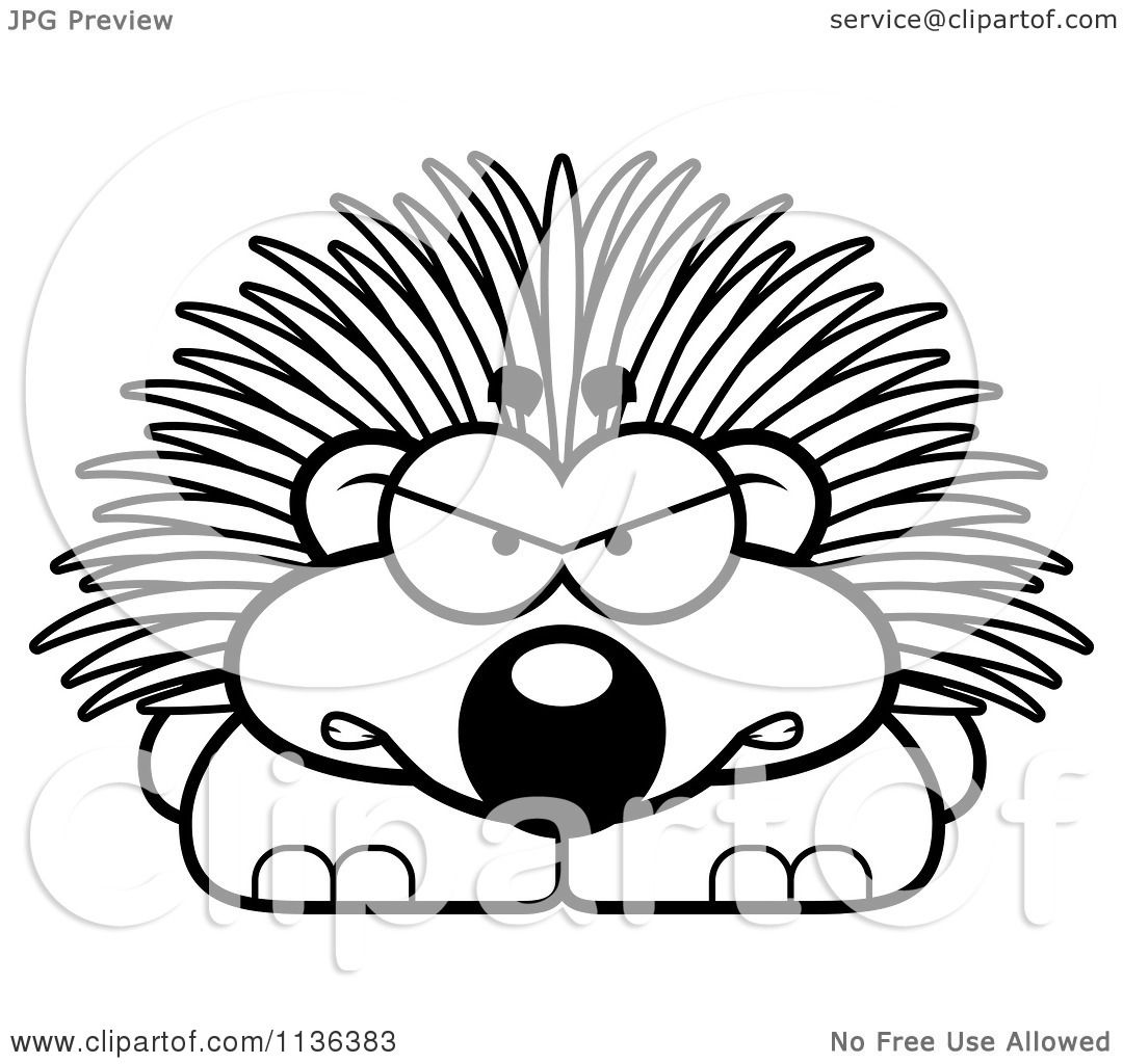 1080x1024 Free Porcupine Coloring Pages Download Clip Art Interesting