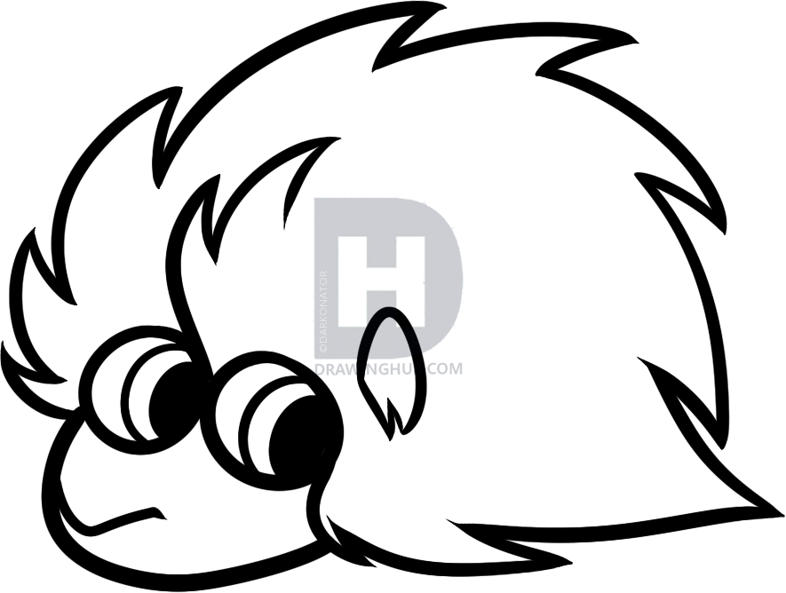 885x668 How To Draw A Porcupine For Kids, Step