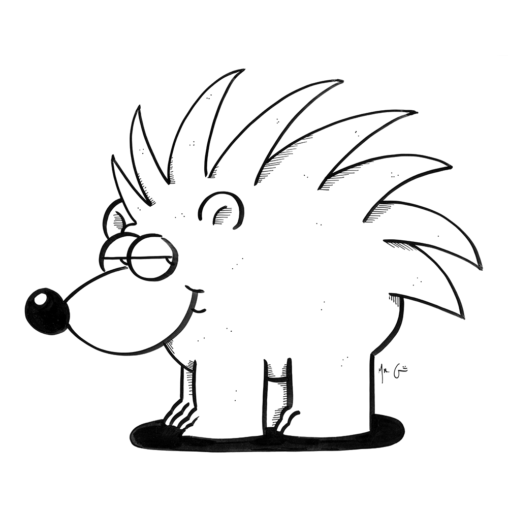 1000x1000 Porcupine
