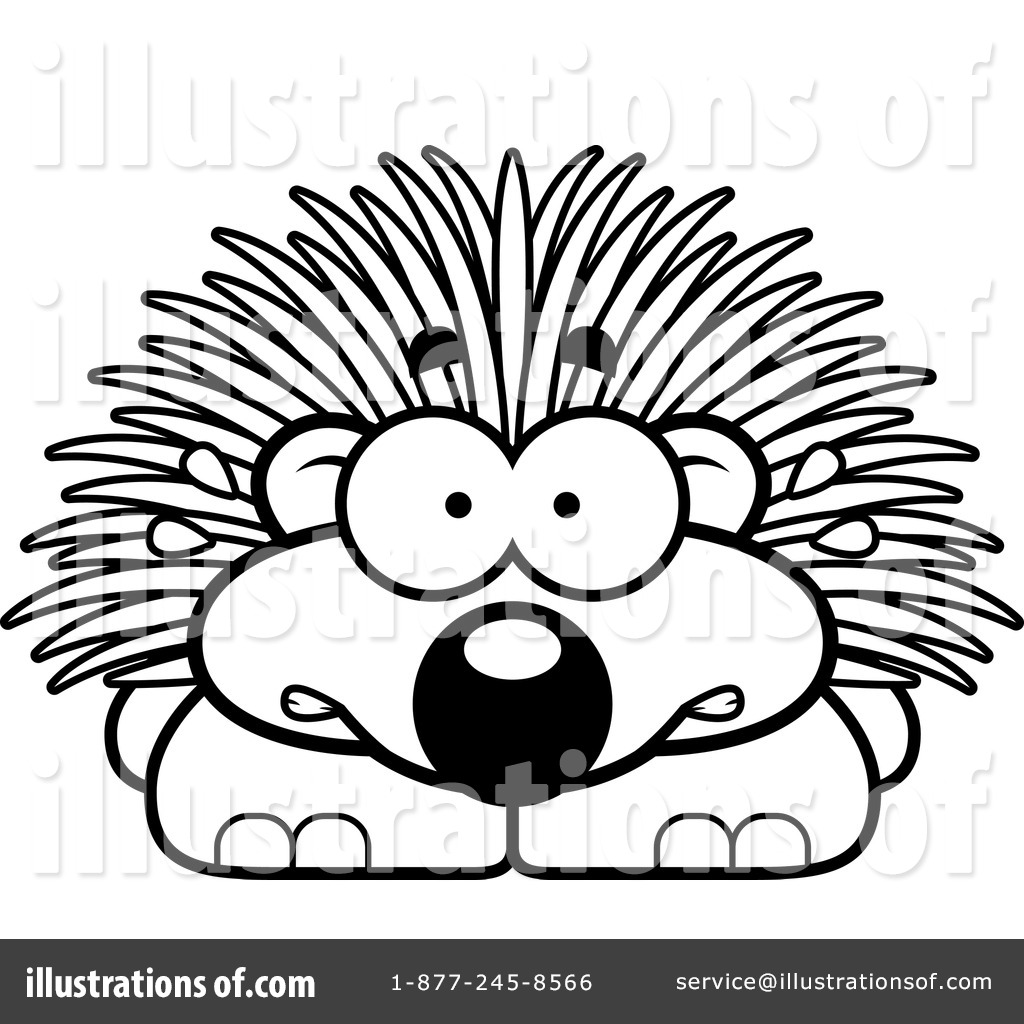 1024x1024 Porcupine Clipart