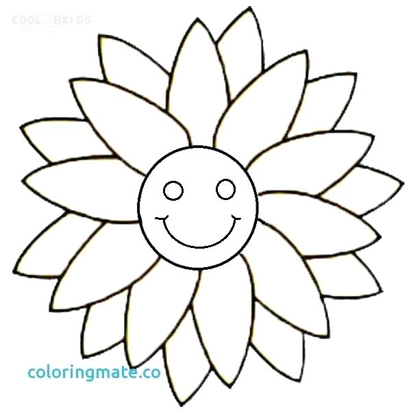 600x600 Porcupine Coloring