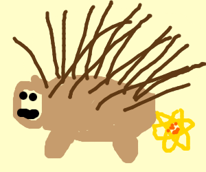 300x250 Small Porcupine