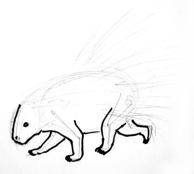 400x359 How To Draw A Porcupine