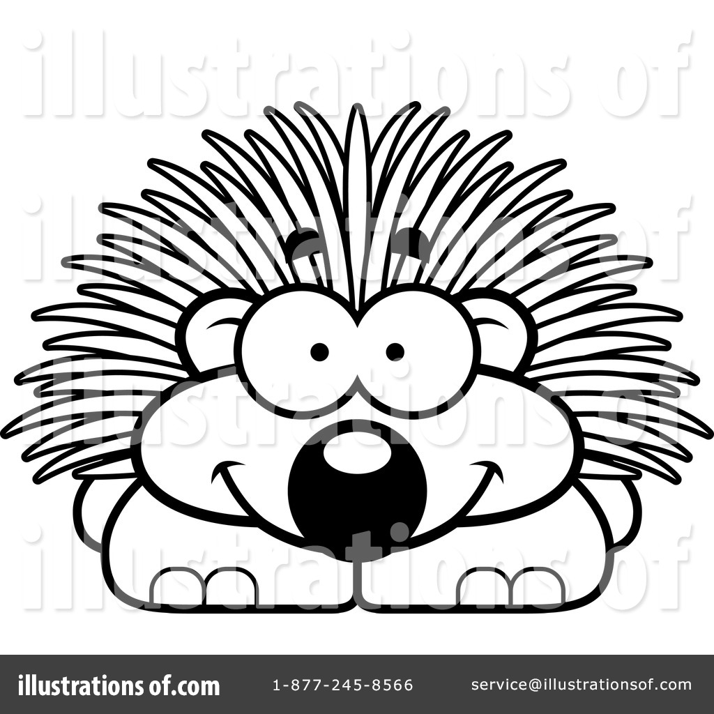 1024x1024 Porcupine Clipart