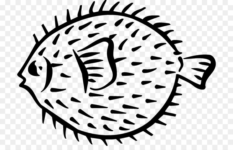 900x580 Porcupine Drawing Fish For Free Download