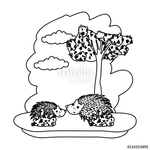 500x500 Line Couple Porcupine Cute Animal In The Forest Stock Image