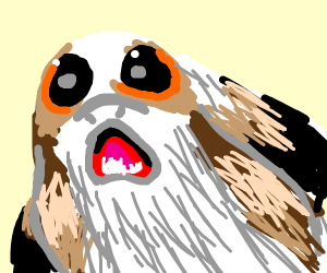 300x250 Porg
