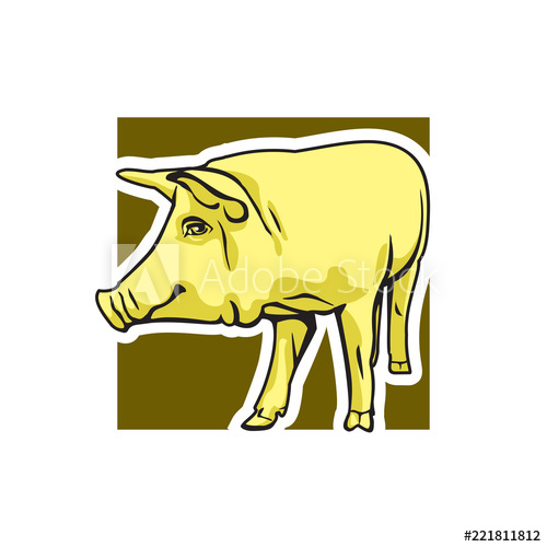 500x500 Cute Pig