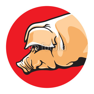 400x400 Pig Vector Illustration Color Drawing Of Single Pork Animal