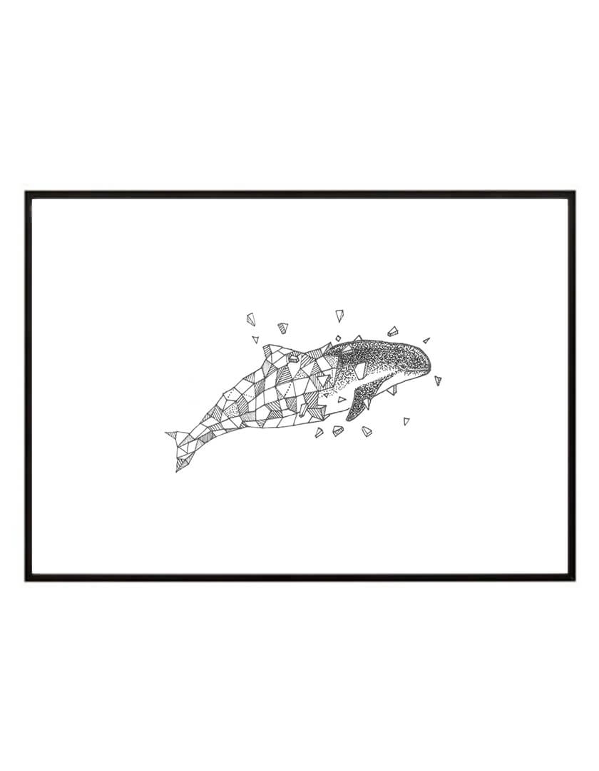 840x1080 porpoise whale