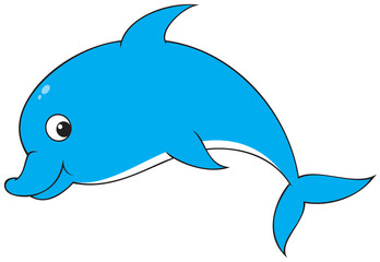 348x240 search photos saddleback porpoise