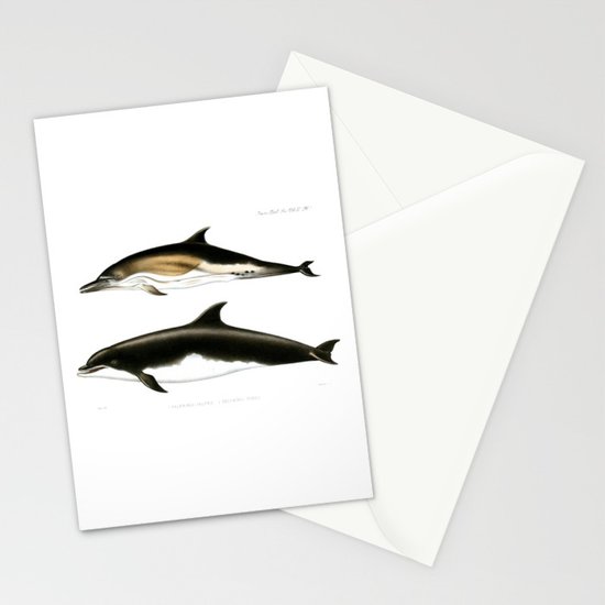 550x550 vintage dolphins nautical porpoise whale antique beach house