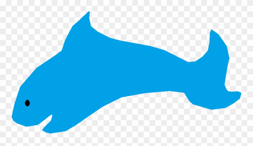 880x510 dolphin shark porpoise marine biology fauna