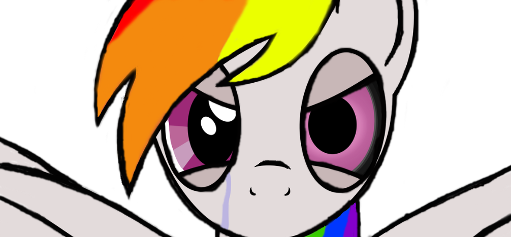 1006x467 My Little Portalrainbow Dash
