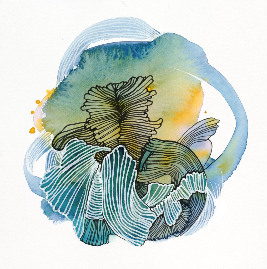 1015x1024 Portal Series