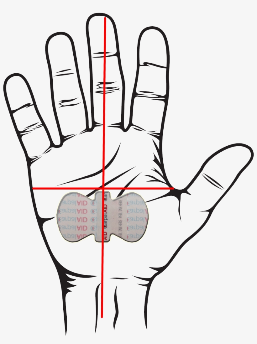 820x1098 Collection Of Free Drawing Hand Position Download