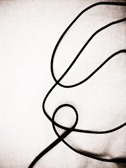 402x536 Lyrical Forms