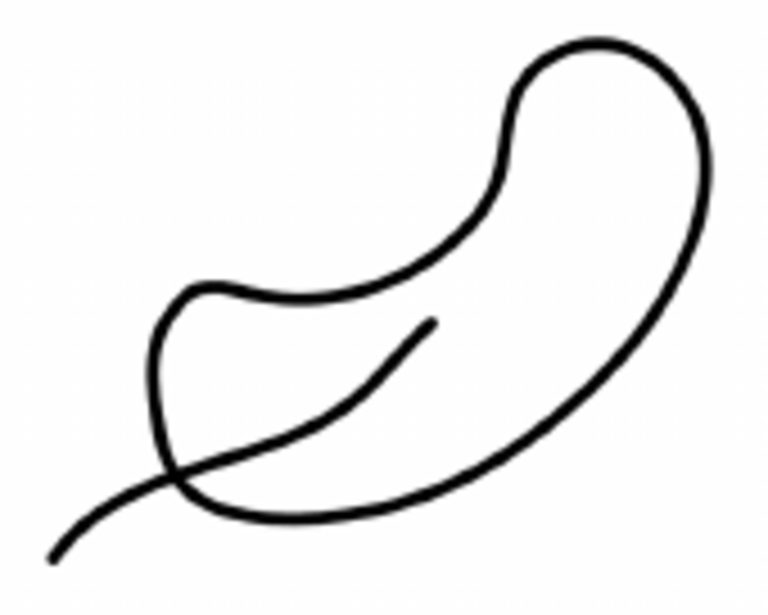 850x680 During Curvature Computation, Convention Is Chosen So That