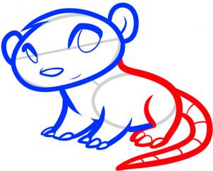 302x242 How To Draw How To Draw A Possum For Kids