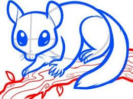 261x193 Image Result For Possum Drawing Aboriginal Art