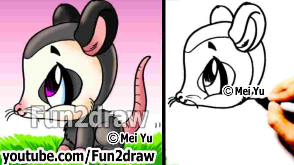 1011x569 How Cute Possum Drawing To Draw Easy Things An O Lessons