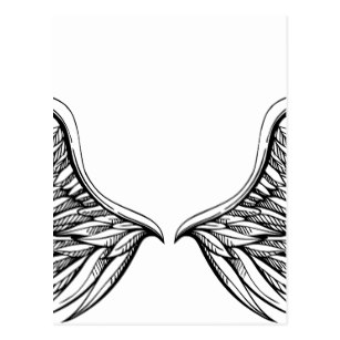 307x307 Black Bird Drawing Postcards Zazzle