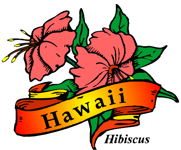 750x620 Collection Of Free Hawaii Drawing Postcard Download On Ui Ex