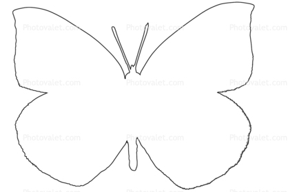 418x279 Send Postcard Butterflies, Wings, Butterfly Outline, Line Drawing