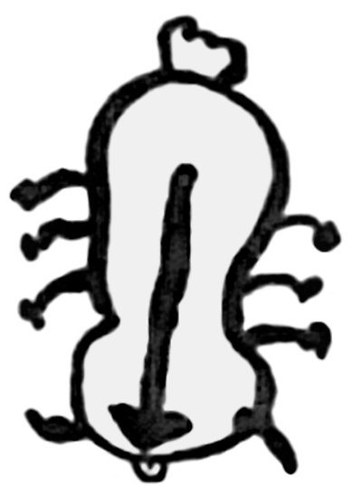 389x550 avatar the last airbender sokka's drawing appa posters