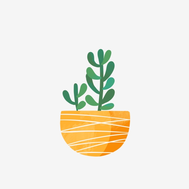 640x640 Hand Drawn Beautiful Succulent In Yellow Pot, Drawing, Spring